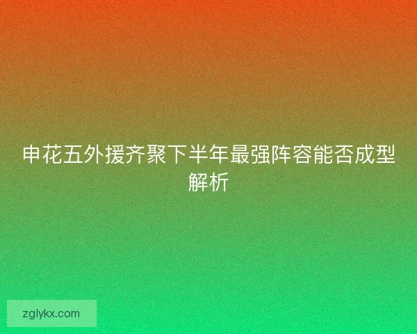 申花五外援齐聚下半年最强阵容能否成型解析