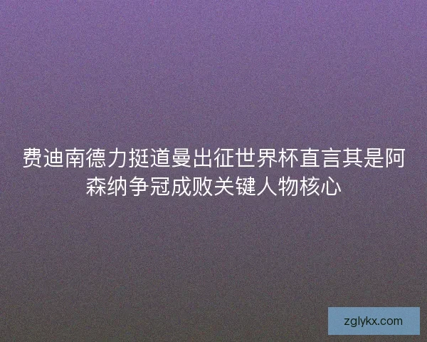 费迪南德力挺道曼出征世界杯直言其是阿森纳争冠成败关键人物核心
